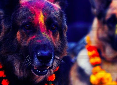 Dashain and Tihar: The biggest Hindu festival of Nepal